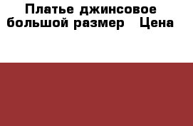 Платье джинсовое ,большой размер › Цена ­ 1 900 - Татарстан респ., Казань г. Одежда, обувь и аксессуары » Женская одежда и обувь   . Татарстан респ.